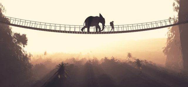 bridge